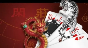 tiger dragon 3